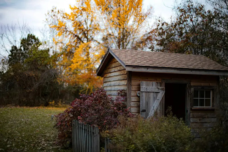 A timber shed among autumn trees, its boards weathered by the seasons.