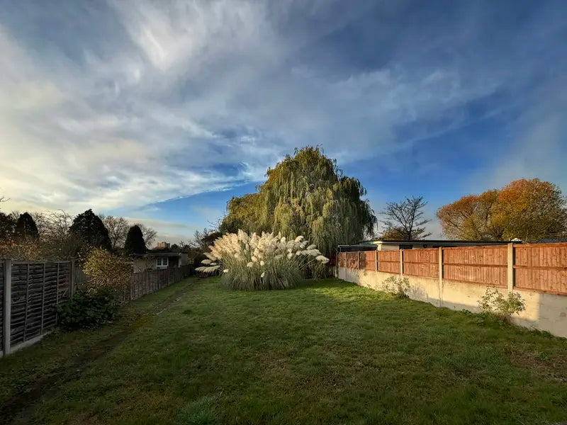 A British back garden lawn between panel fences, with a weeping willow and pampas grass.