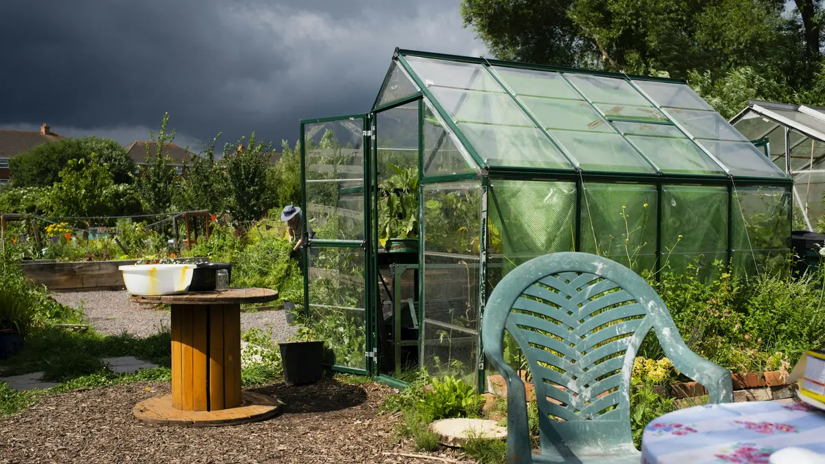 A green-framed greenhouse on an allotment plot, with a cable-drum table and a plastic chair in front.